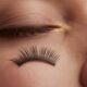 How many eyelash extensions do you lose a day, natural lash with false strip?